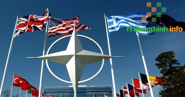                           NATO là gì? Khối NATO gồm những nước nào?