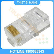 Đầu mạng Cat 6 Dintek (100 đầu), chính hãng