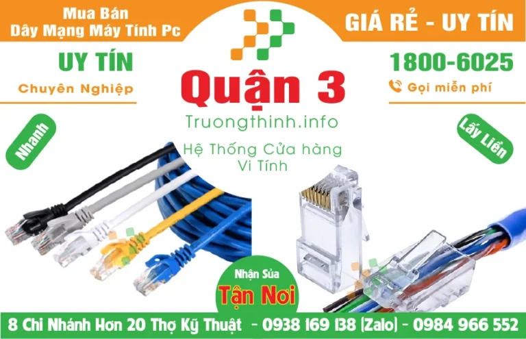daymang-quan3