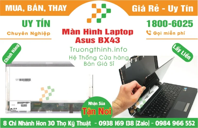 BX43