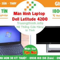 Màn Hình Laptop Dell Latitude 4200