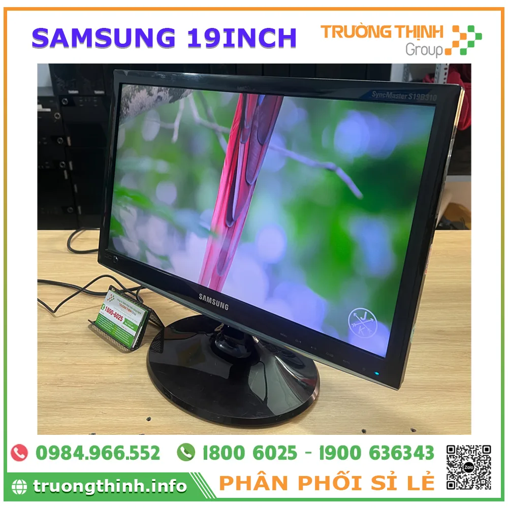 Khả năng hiển thị của Màn Hình Samsung S19C300