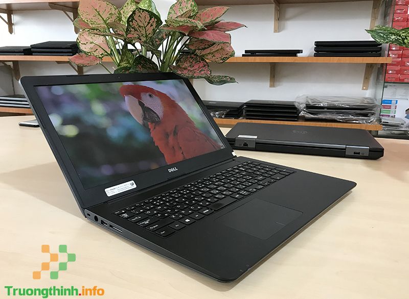 mua bán thay Pin laptop Dell Latitude 3550 Giá Rẻ | Vi Tính Trường Thịnh