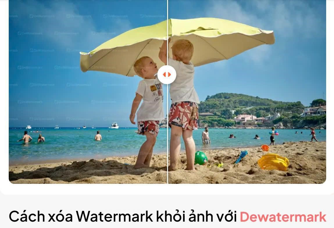 Cách Xóa Watermark khỏi ảnh với dewwatermark