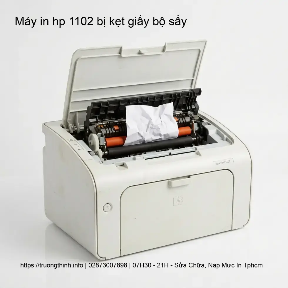 Tại Sao Máy In HP 1102 Thường Xuyên Bị Kẹt Giấy?