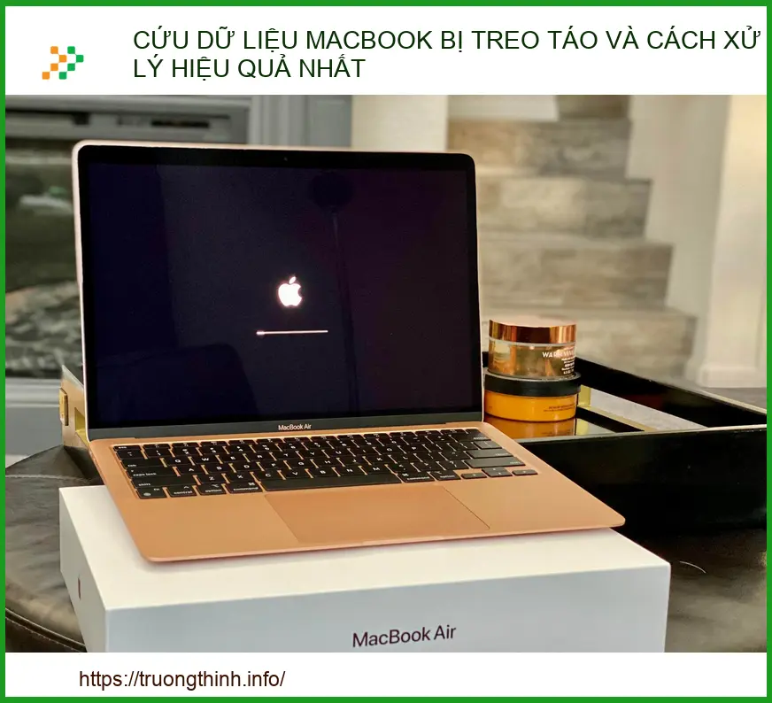 MacBook bị treo táo: Nguyên nhân và cách xử lý hiệu quả nhất 2024