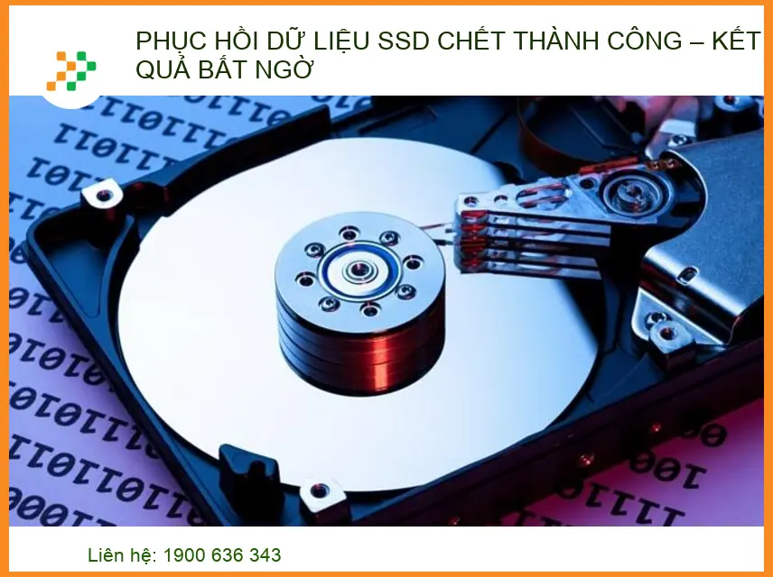 Phục hồi dữ liệu SSD chết thành công: Kết quả bất ngờ từ chuyên gia Trường Thịnh
