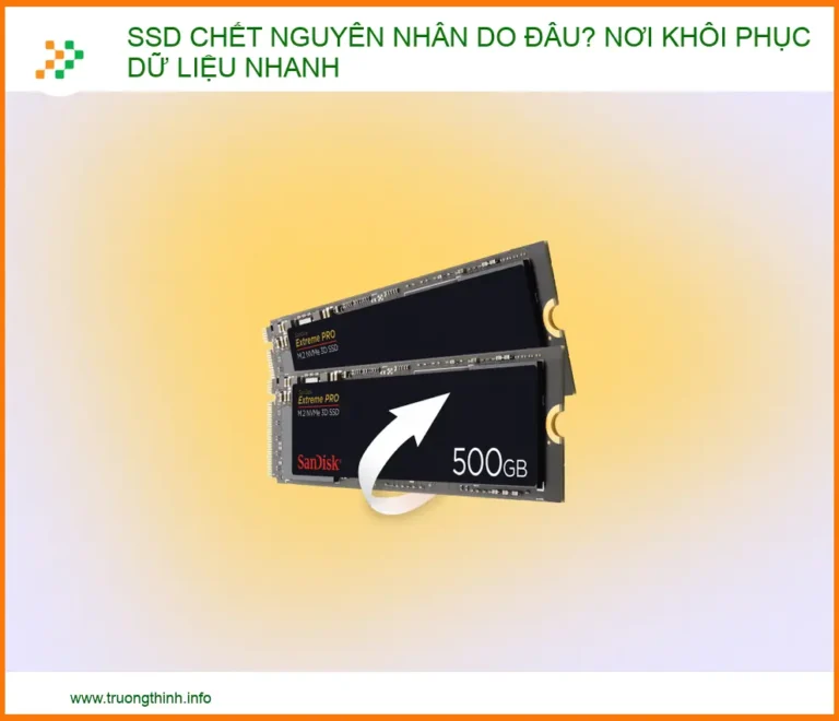SSD Bị Chết: Nguyên Nhân, Dấu Hiệu và Cách Khôi Phục Dữ Liệu Chuyên Nghiệp