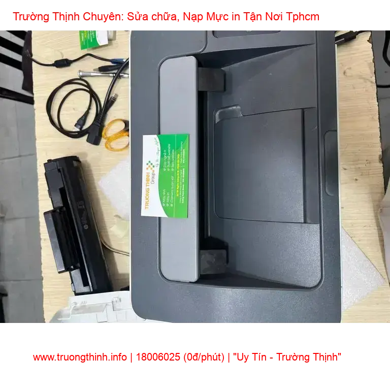 1. Sọc Trắng Mỏng, Đều và Dày Đặc