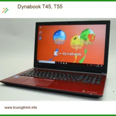 Loa Laptop Dynabook T45, T55 - Thay Loa Nhanh, Giá Rẻ Tại TPHCM