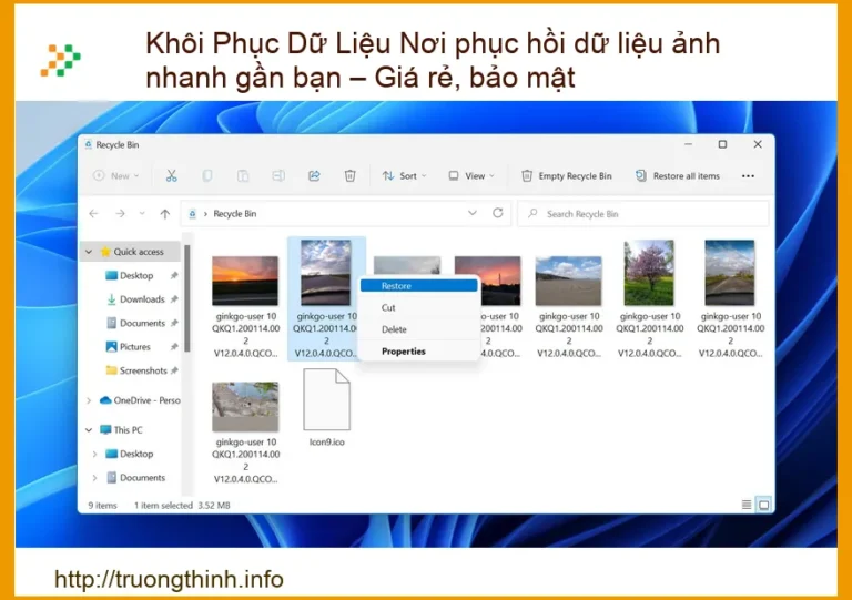 Khôi Phục Dữ Liệu Ảnh Nhanh Chóng, An Toàn: Giải Pháp Cứu Cánh Gần Bạn – Giá Rẻ, Bảo Mật Tuyệt Đối!