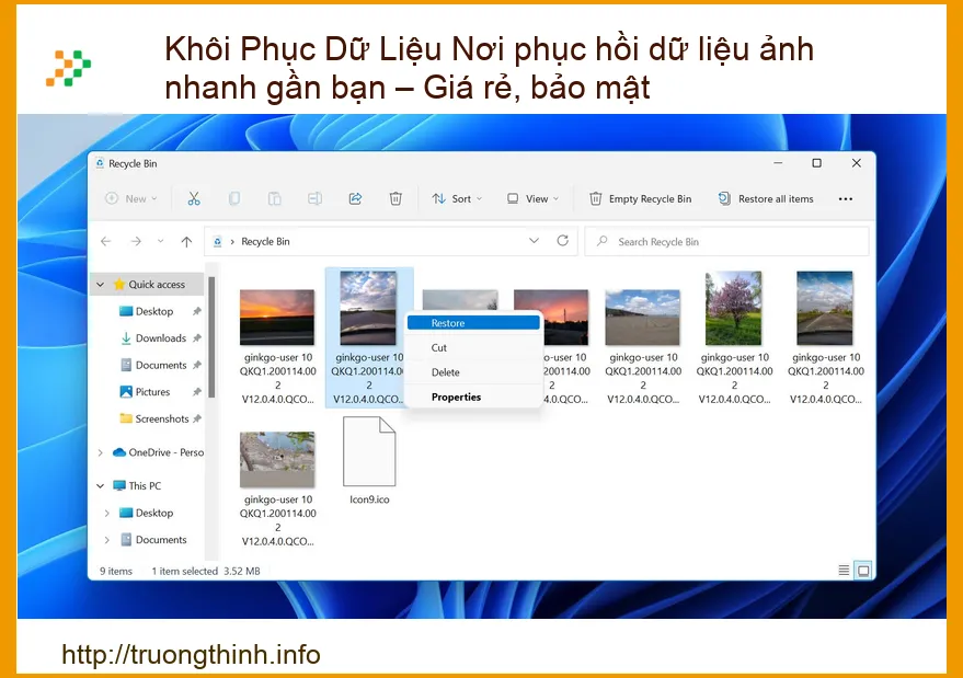 Khôi Phục Dữ Liệu Ảnh Nhanh Chóng, An Toàn: Giải Pháp Cứu Cánh Gần Bạn – Giá Rẻ, Bảo Mật Tuyệt Đối!
