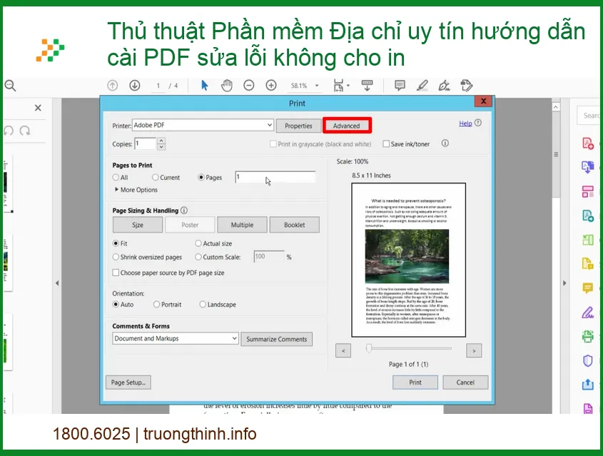 Thủ Thuật Phần Mềm: Hướng Dẫn Cài PDF & Sửa Lỗi Không Cho In Hiệu Quả Nhất