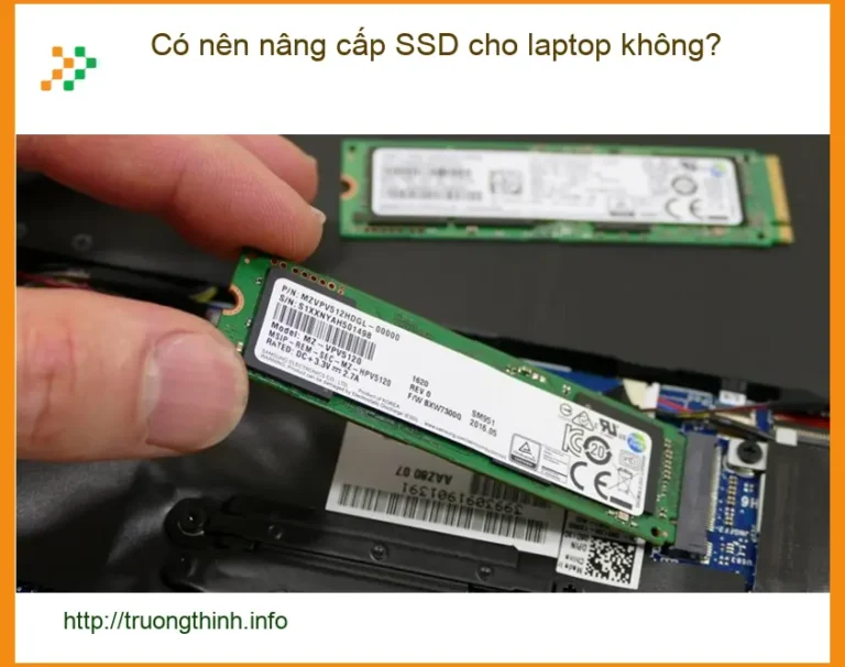 Laptop Có nên nâng cấp SSD không? Lợi ích & Tư vấn từ chuyên gia kỹ thuật