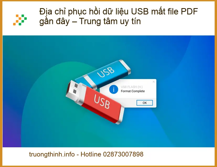 Khôi Phục Dữ Liệu USB mất file PDF gần đây - Trung tâm uy tín TPHCM