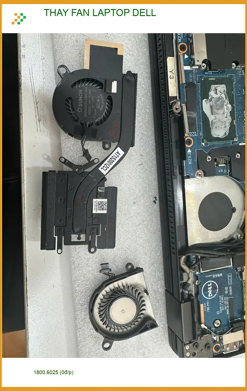 Chị Thanh nhân viên văn phòng - Trung tâm thay FAN LAPTOP DELL Quận Gò Vấp uy tín
