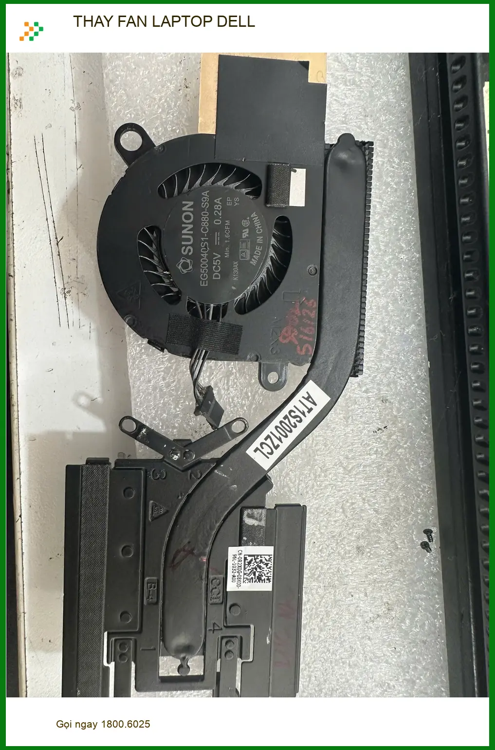 Chị Thanh nhân viên văn phòng - Trung tâm thay FAN LAPTOP DELL Quận Gò Vấp uy tín ảnh thực tế 1