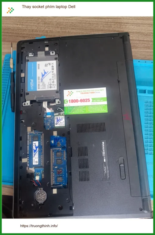 Chú Khoa nhà nghiên cứu côn trùng - Tiệm thay socket phím laptop Dell Quận Tân Phú
