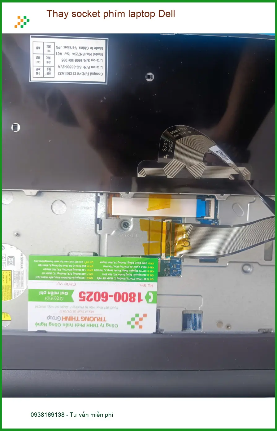 Chú Khoa nhà nghiên cứu côn trùng - Tiệm thay socket phím laptop Dell Quận Tân Phú ảnh thực tế 1