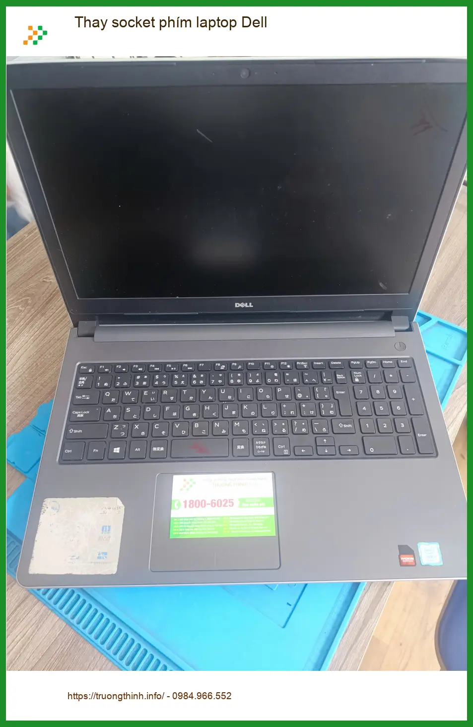 Chú Khoa nhà nghiên cứu côn trùng - Tiệm thay socket phím laptop Dell Quận Tân Phú ảnh thực tế 2