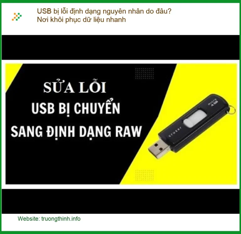 Khôi Phục Dữ Liệu USB bị lỗi định dạng nhanh - Thợ cứu dữ liệu tận nơi TPHCM