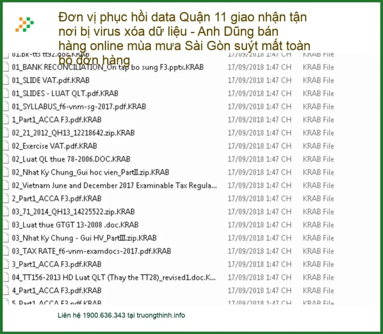 Khôi Phục Dữ Liệu Quận 11 bị virus xóa - Dịch vụ tận nơi lấy liền