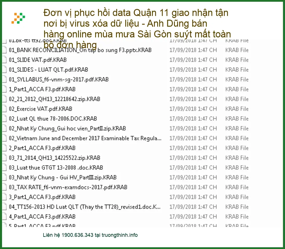 Khôi Phục Dữ Liệu Quận 11 bị virus xóa - Dịch vụ tận nơi lấy liền