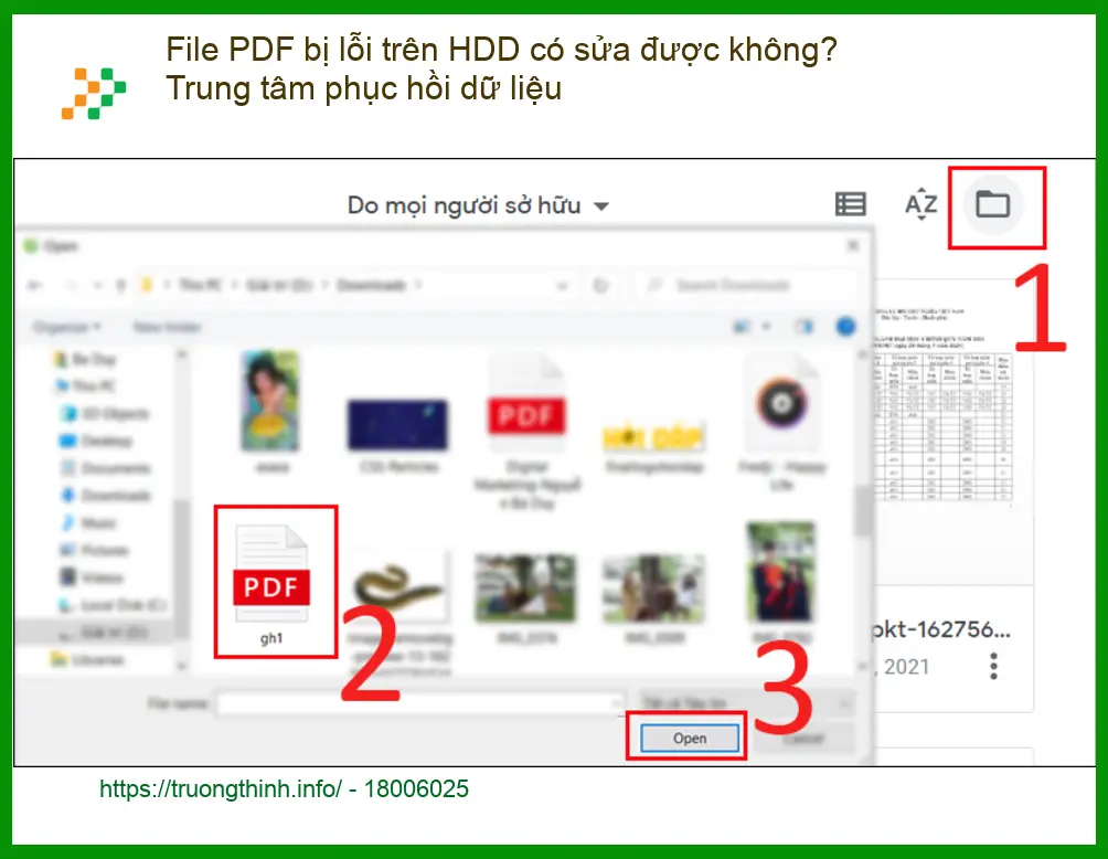 Khôi Phục Dữ Liệu File PDF lỗi HDD - Cứu dữ liệu nhanh chóng TPHCM