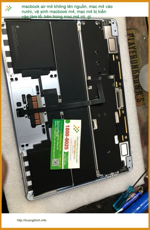 Dịch vụ sửa macbook air m4 vào nước lấy ngay - Chị Thanh designer ở Quận Bình Thạnh