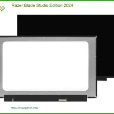 Màn hình Laptop Razer Blade Studio Edition - Thay Nhanh Trong Ngày Tại TPHCM
