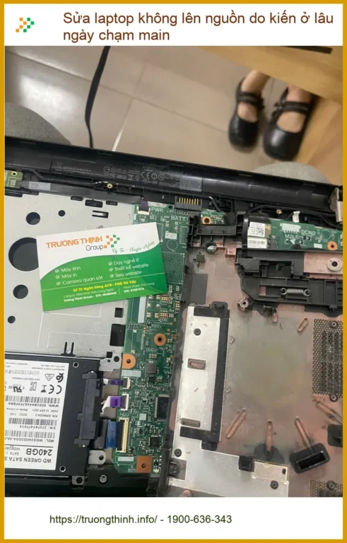 Anh Văn tìm tiệm sửa laptop không lên nguồn do kiến chạm main ở Quận Phú Nhuận