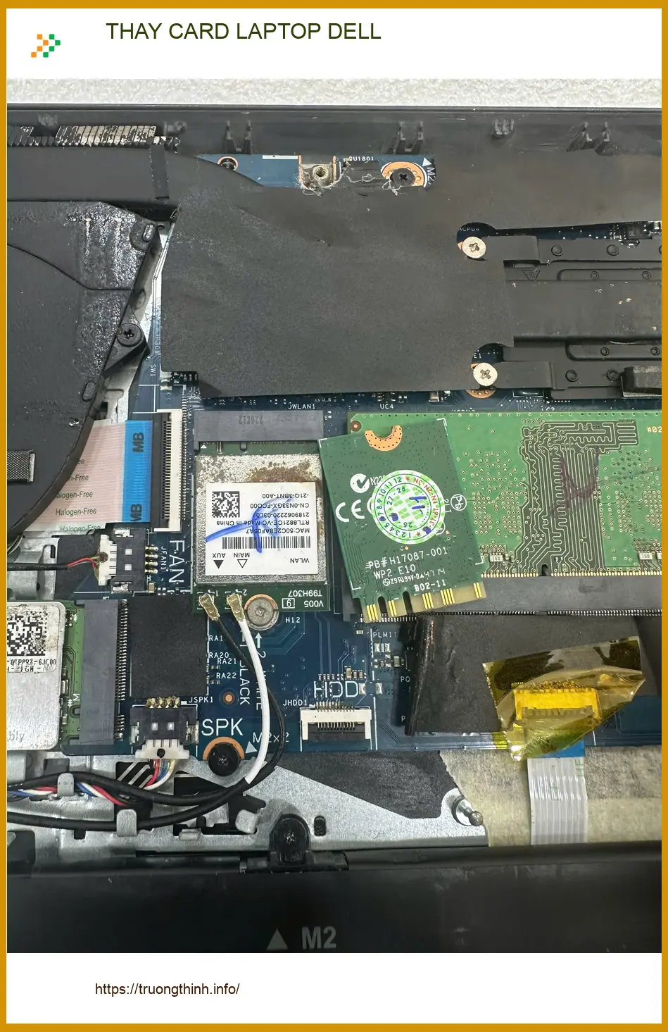 Chị Mai biên tập viên tin tưởng trung tâm thay card laptop Dell Quận Gò Vấp ảnh thực tế 1