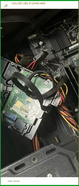 Chị Thảo nhà thiết kế - Cứu dữ liệu ổ cứng HDD Quận Tân Bình uy tín lấy liền