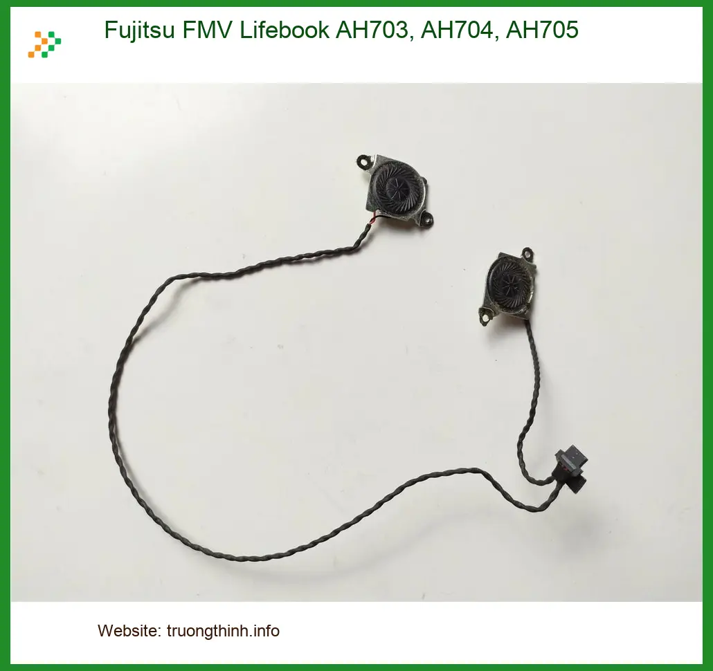 Loa Laptop Fujitsu - Thay Lắp Nhanh Chóng Tại Trung Tâm TPHCM