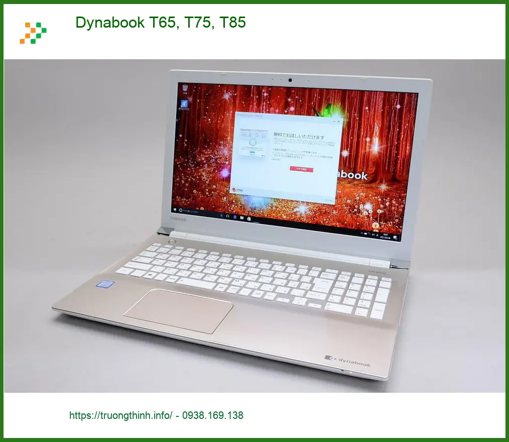 Thay Webcam Laptop Dynabook T65 T75 T85 - Lấy Liền Tại Cửa Hàng Gần Nhất