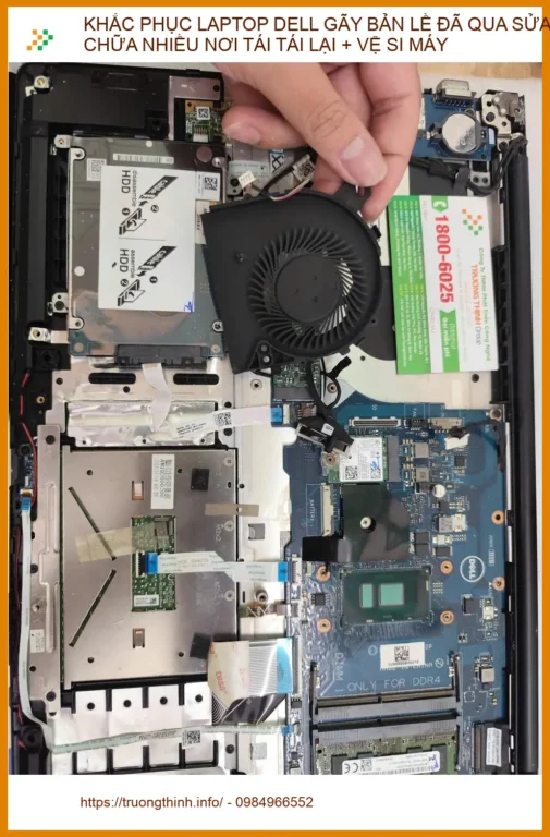 Chị Mai Phú Nhuận - Khắc phục Laptop Dell bản lề tái hỏng, vệ sinh máy