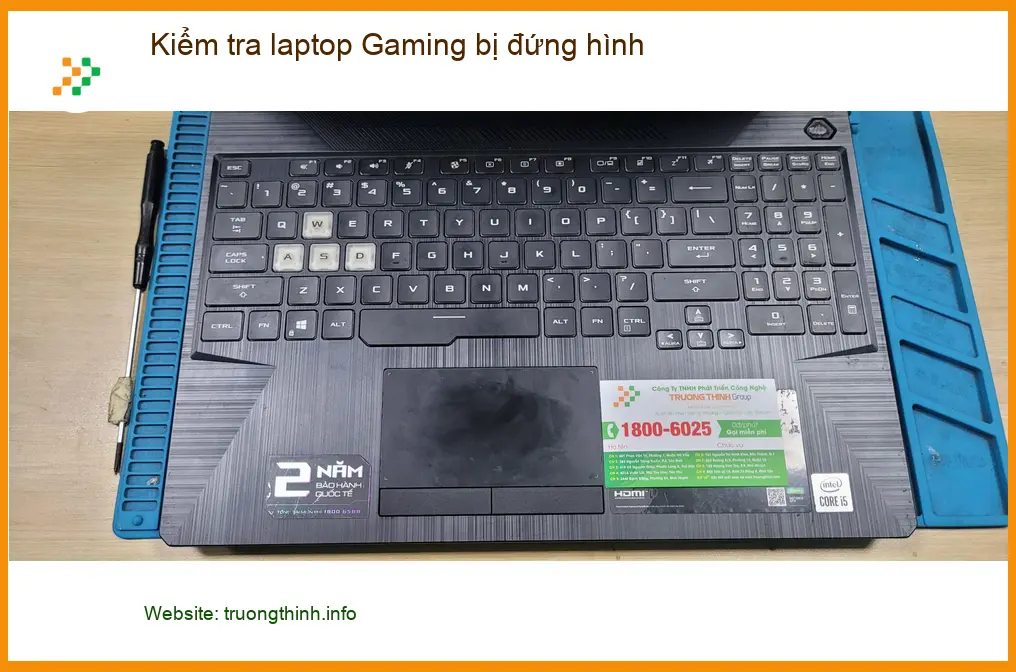 Chị Thanh tìm chỗ kiểm tra laptop gaming bị đứng hình Quận Bình Tân