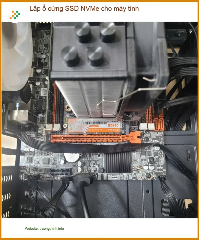 Chị Thảo quản lý shop online cần lắp ổ cứng SSD NVMe cho máy tính ở Quận Tân Bình