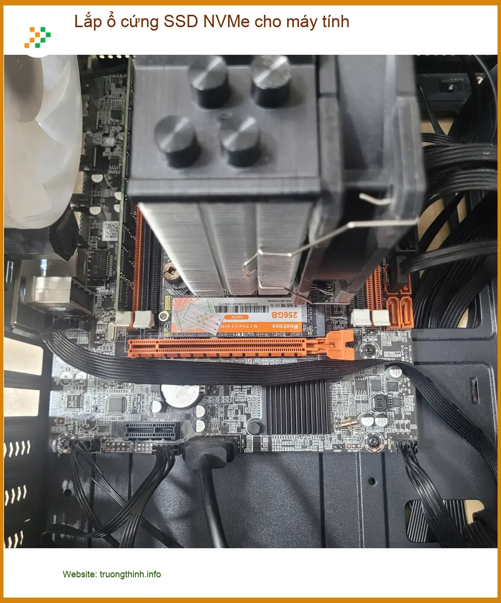 Chị Thảo quản lý shop online cần lắp ổ cứng SSD NVMe cho máy tính ở Quận Tân Bình