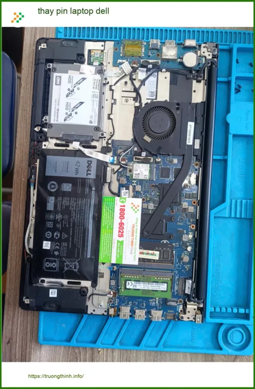 Chú Phước lo pin chai - Thay pin laptop Dell Quận Tân Phú lấy liền