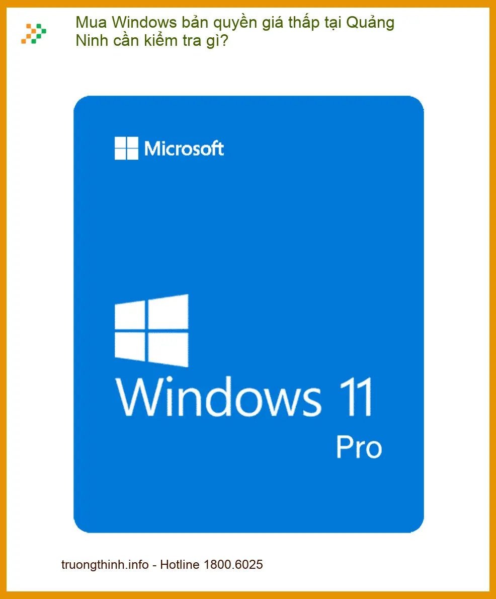 Windows Mua bản quyền giá thấp tại Quảng Ninh cần kiểm tra gì? - Tư vấn từ chuyên gia kỹ thuật