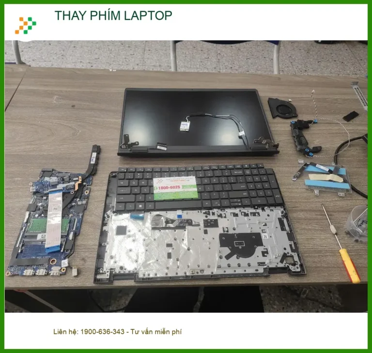 Chị Tuyết giáo viên tìm trung tâm thay phím laptop Quận 7 sau sự cố